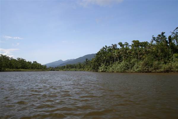 Mulgrave River (Cairns Region) (25/09/2007)