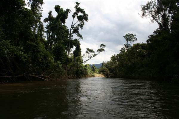 Mulgrave River (Cairns Region) (25/09/2007)