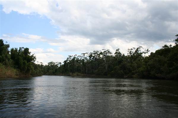 Mulgrave River (Cairns Region) (25/09/2007)