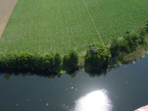 Mulgrave River (Cairns Region) (25/09/2007)