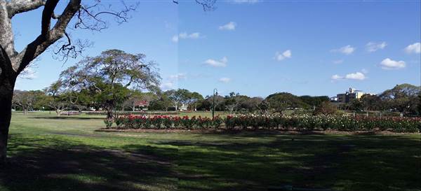 New Farm Park (12/11/2013)