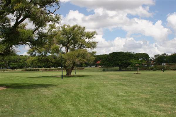 New Farm Park (12/11/2013)