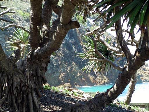 Minjeeribah (North Stradbroke Island) - Overview (29/01/2009)