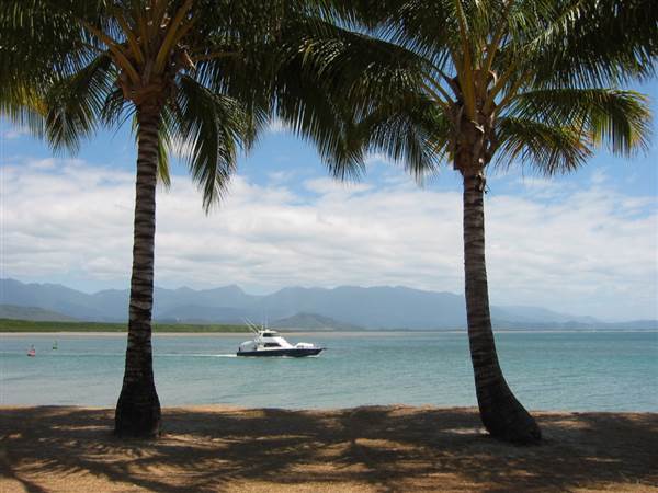 North Palm Cove to Ellis Beach (1/10/2007)