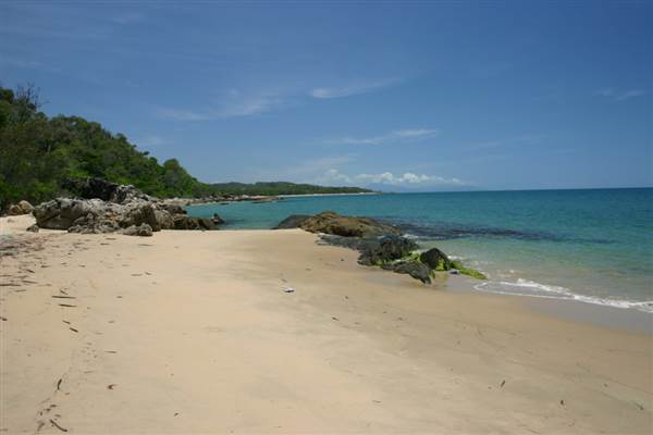 North Palm Cove to Ellis Beach (1/10/2007)