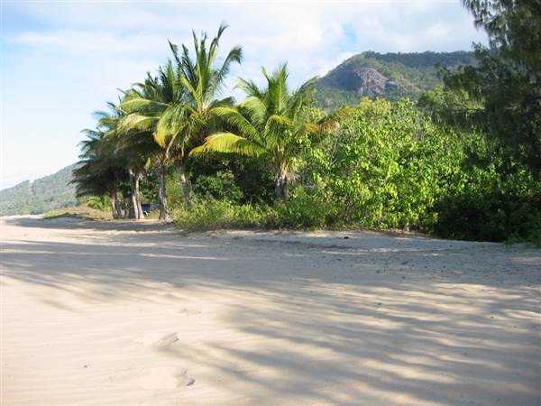 North Palm Cove to Ellis Beach (1/10/2007)