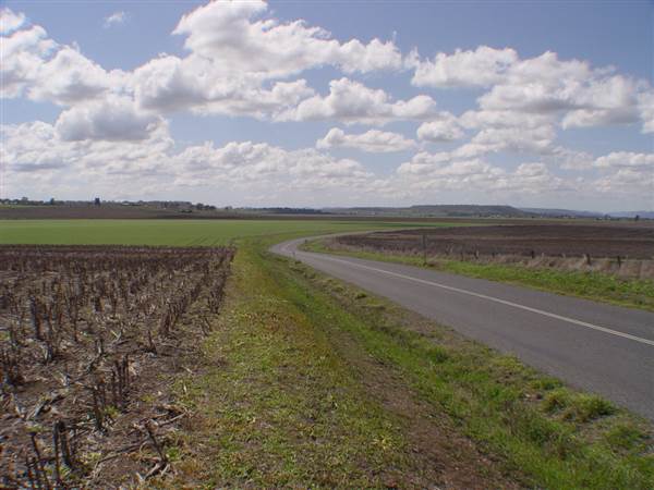 Wheat Fields (8/01/2008)