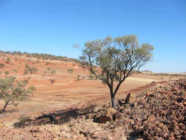 Rangelands Station (14/10/2005)