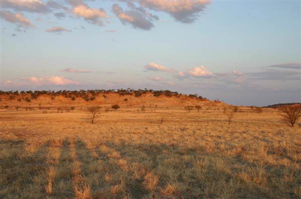 Rangelands Station (14/10/2005)
