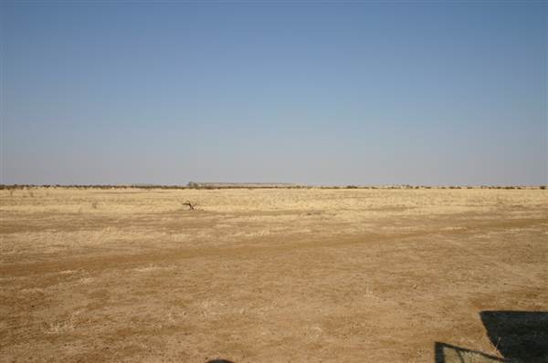 Rangelands Station (14/10/2005)