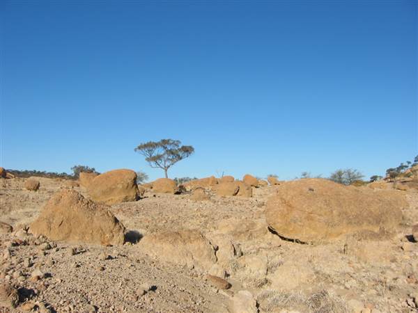 Rangelands Station (14/10/2005)