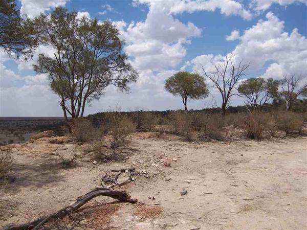 Rangelands Station (14/10/2005)
