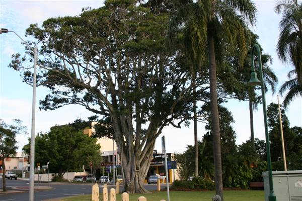 Sandgate (30/04/2009)