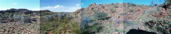 Sybella Creek (25/12/2002)
