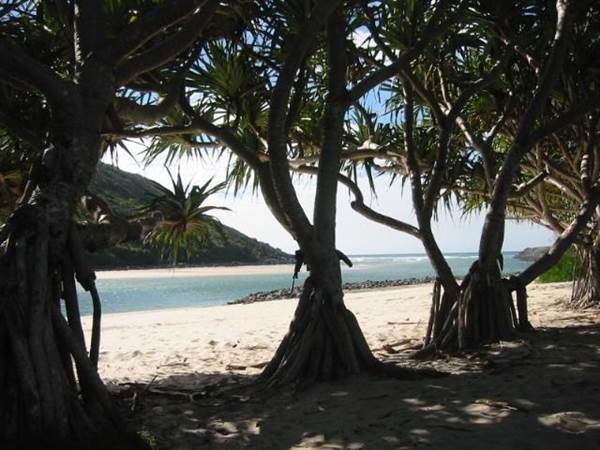Tallebudgera Beach (17/12/2008)