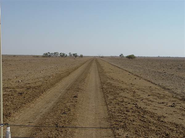 Muttaburra - Aramac Rd (18/11/2013 - Credits: Chris Strewe)