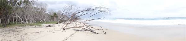 Minjeeribah (North Stradbroke Island) - Home Beach (1/02/2014 - Credits: Angus Ledgerwood)