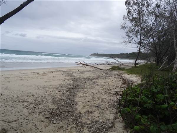 Minjeeribah (North Stradbroke Island) - Home Beach (1/02/2014 - Credits: Angus Ledgerwood)