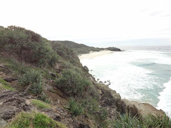 Gorge Walk, Point Lookout (3/02/2014 - Credits: Angus ledgerwood)