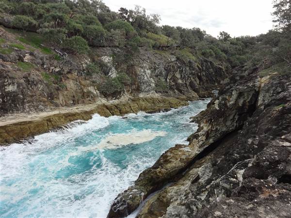 Gorge Walk, Point Lookout (3/02/2014)