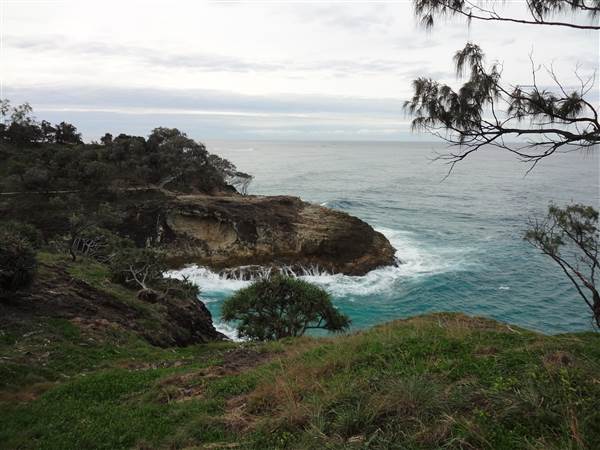 Gorge Walk, Point Lookout (3/02/2014)