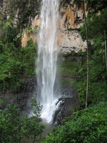 Purling Brook Falls - Springbrook National Park (2/05/2014)