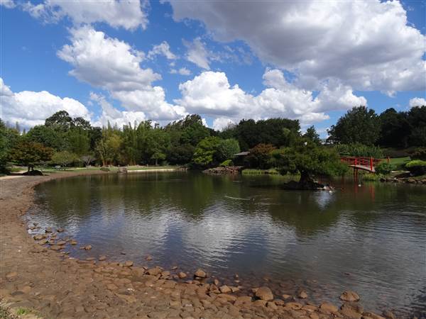 Japanese Garden - University of Southern Queensland (7/05/2014)