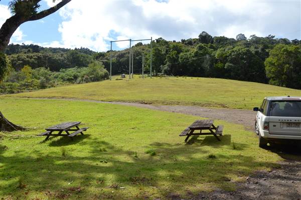 O'Reillys Rainforest Retreat (19/05/2014 - Credits: Duncan Jones)