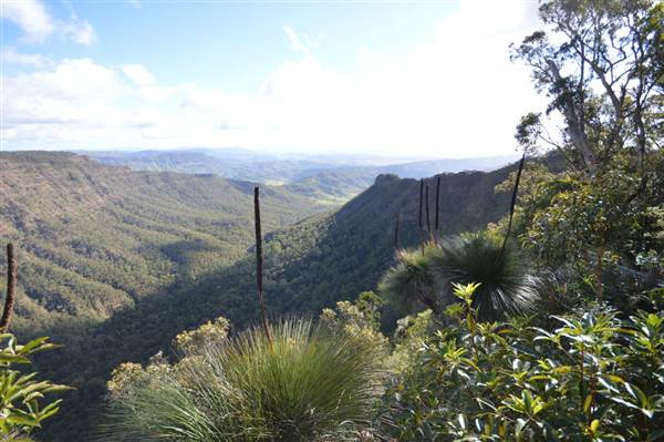 O'Reillys Rainforest Retreat (19/05/2014)