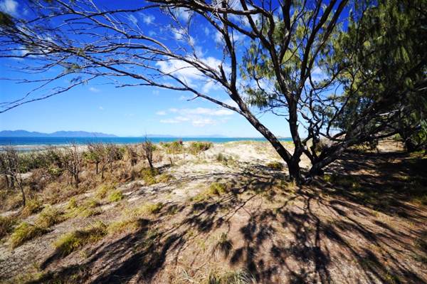 Kings Beach (Bowen) (23/07/2014 - Credits: Angus Ledgerwood)