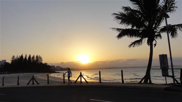 Snapper Rocks Road (12/11/2014)
