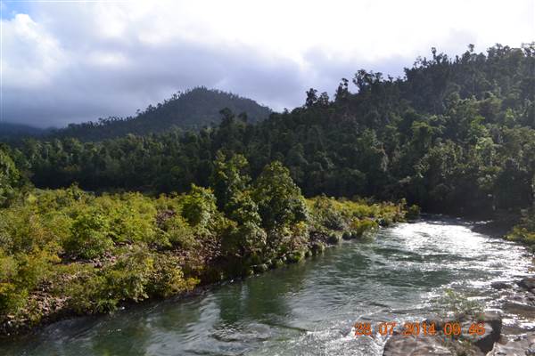 Tully Gorge National Park (18/08/2014)