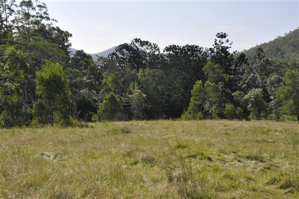 Bonogin Backlot - Dead Tree Paddock (31/03/2015 - Credits: Angus Ledgerwood)