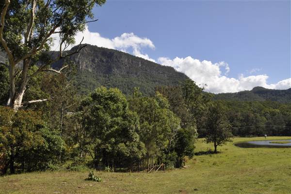 Natural Bridge - Springbrook National Park (30/04/2015 - Credits: Angus Ledgerwood)
