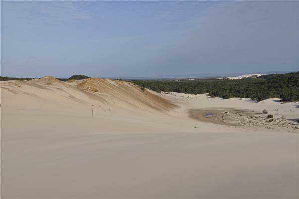 Mulgumpin (Moreton Island) - Big Sand Hills (11/04/2015 - Credits: Angus Ledgerwood)