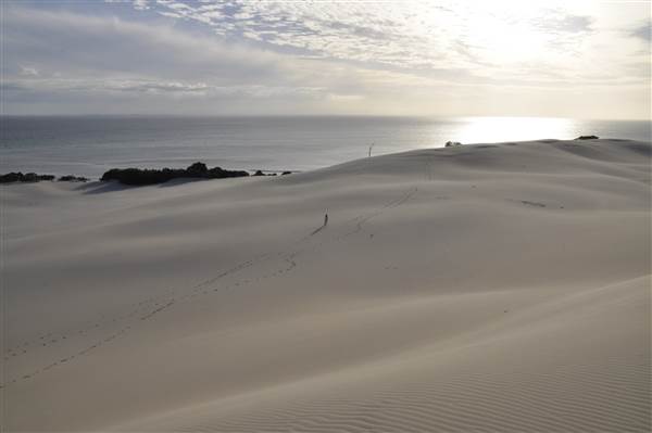 Mulgumpin (Moreton Island) - Big Sand Hills (11/04/2015 - Credits: Angus Ledgerwood)