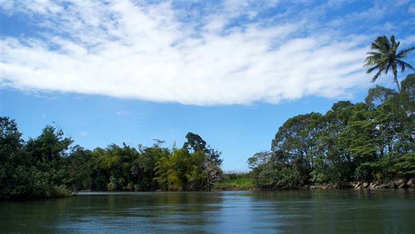Mulgrave River (Cairns Region) (25/06/2015)