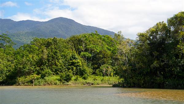 Mulgrave River (Cairns Region) (25/06/2015)
