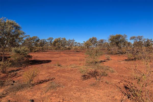 Age Of Dinosaurs (Rangelands) (22/07/2015)