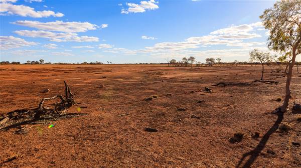 Age Of Dinosaurs (Rangelands) (22/07/2015)
