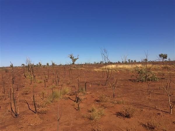 Winton-Jundah Road (24/07/2015 - Credits: Neil McGregor)
