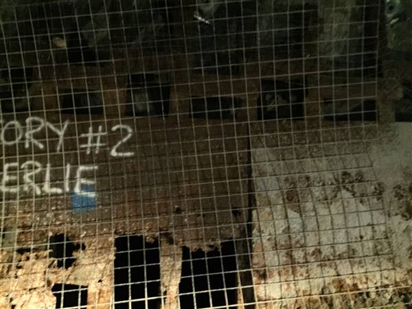 Underground Tunnels - Gold Mine (13/08/2015 - Credits: Neil McGregor)