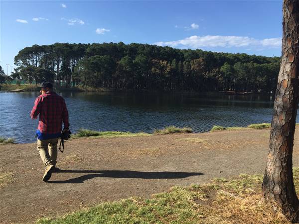 Pine Forest, Riverside Skate Park & Open Sports Fields - Pizzey Park