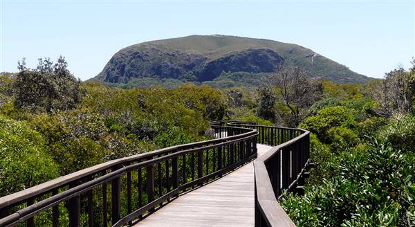 Mount Coolum (24/09/2015)