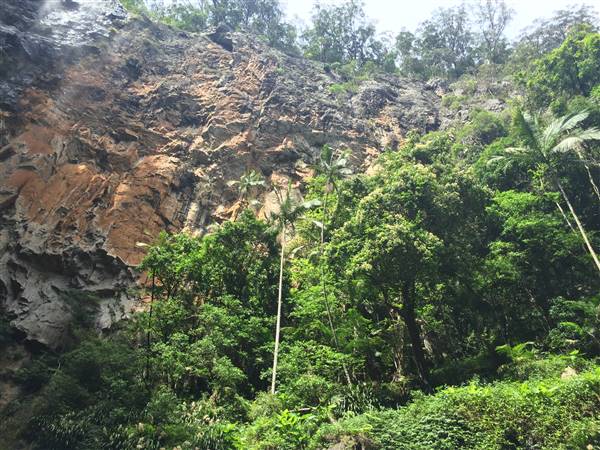 Purling Brook Falls - Springbrook National Park (10/12/2015 - Credits: Neil McGregor)