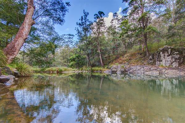 Stony Creek - Bellthorpe National Park (27/06/2016 - Credits: Stony Creek)