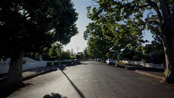 Tree-Lined Street (20/03/2017)