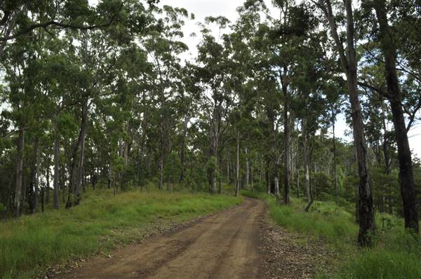 Dirt Road / Wilderness / Pastures (3/04/2017)