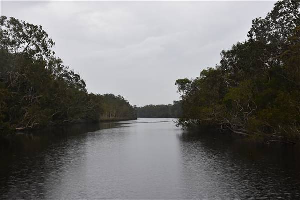 Harrys Hut Area (Noosa Everglades) (13/07/2017 - Credits: Kathryn Metcalfe)