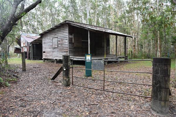 Harrys Hut Area (Noosa Everglades) (7/07/2017 - Credits: Kathryn Metcalfe)